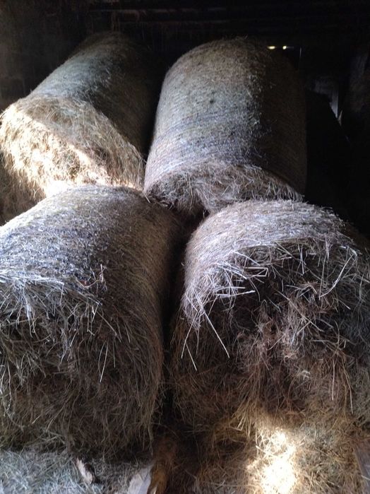 SPRZEDAM SIANO drugi pokos