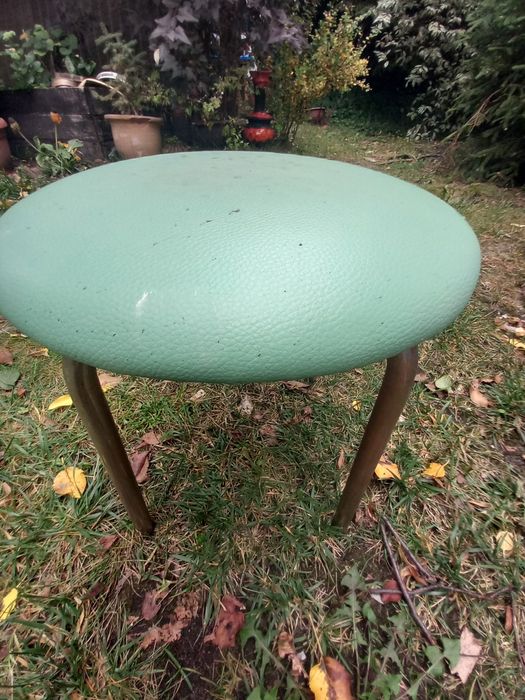 Fotel skórzany clear