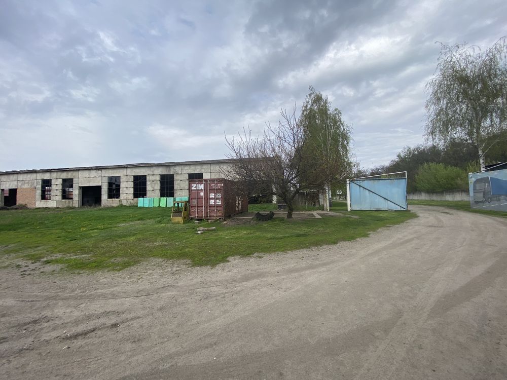 Продаж ангару/складу/зерносховища в селі Згурівка