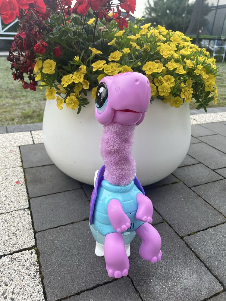 Żółw Cobi Little Live Pets