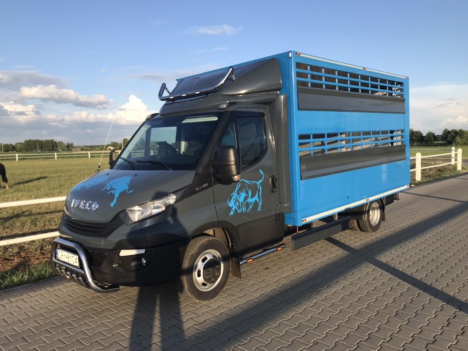 IVECO DAILY 50C18 ( do bydła zwierząt żywca )