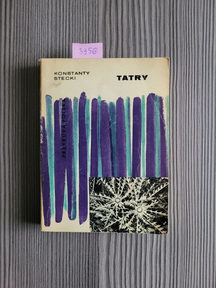 3956. "Tatry" Konstanty Stecki (mini)