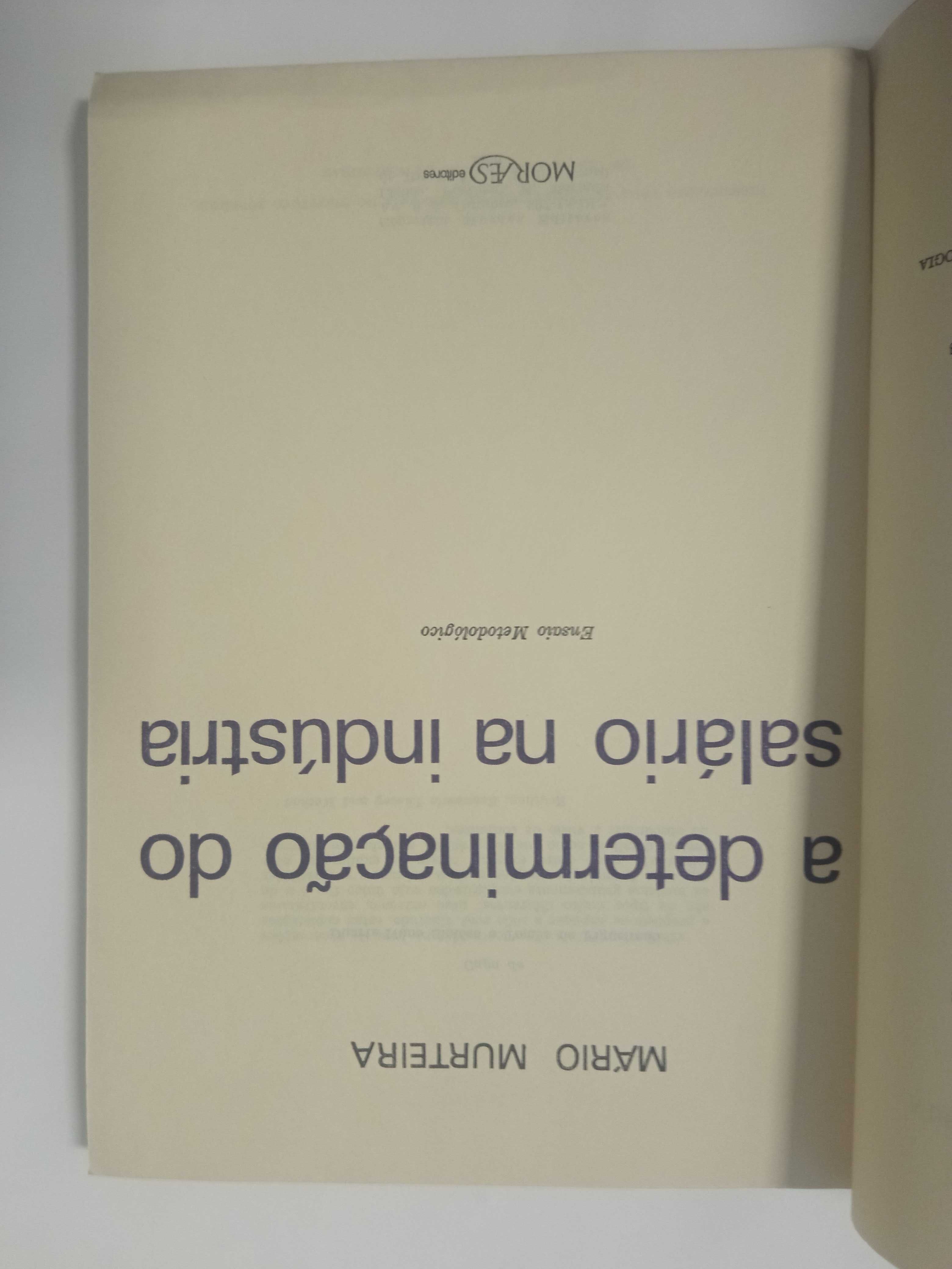 A determinação do salário na indústria, Mário Murteira