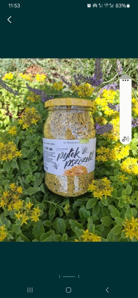 Pyłek pszczeli 3x550g Zbiór 2025