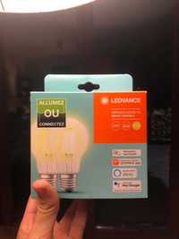 Lâmpadas LED inteligente SMART+ - Ledvance