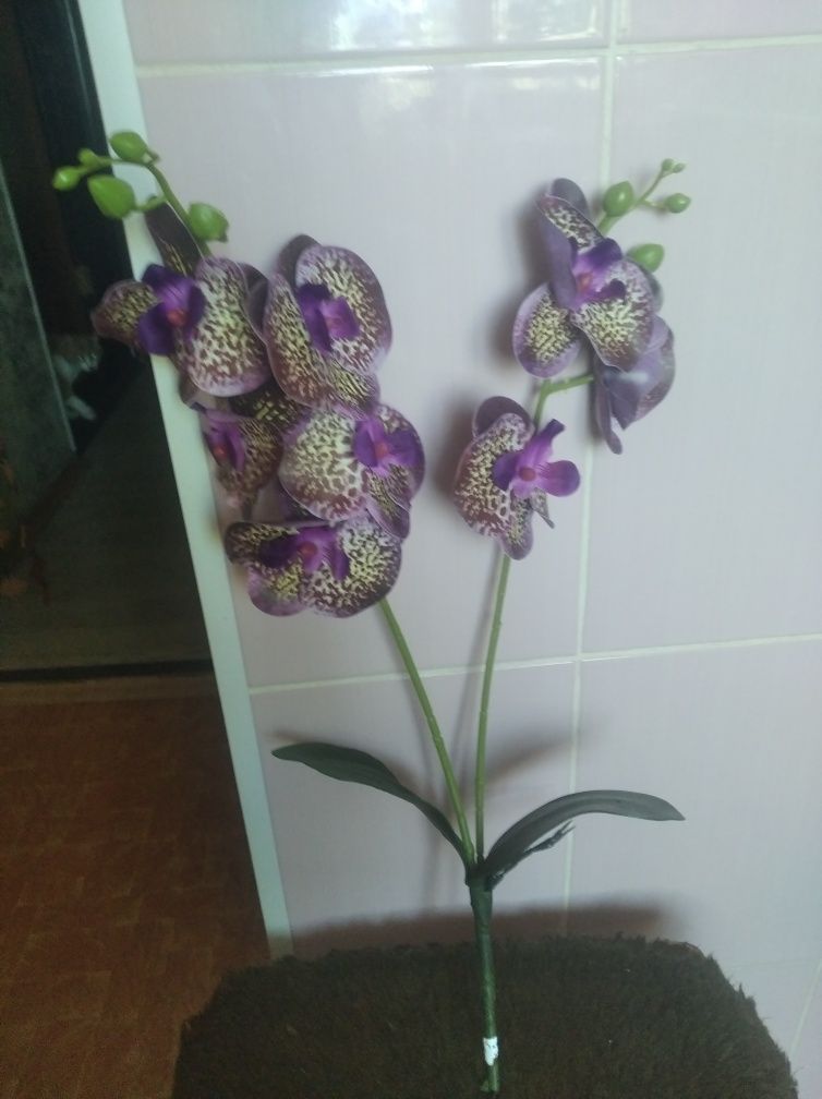 Продам штучну орхідею з латексу