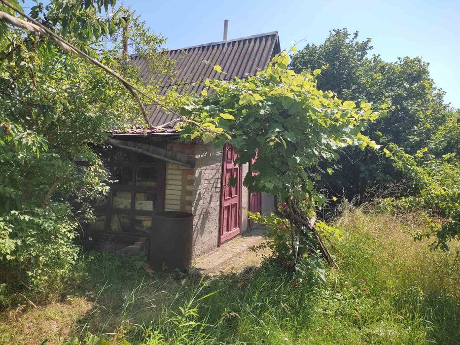 Продам дачу біля лісу,ставка Петрик