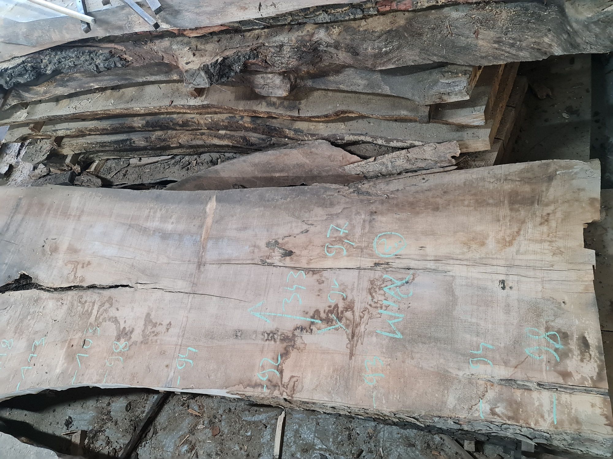 Drzewo dąb wiąz jesion stół deska drewno blat drewniany wood massivhol