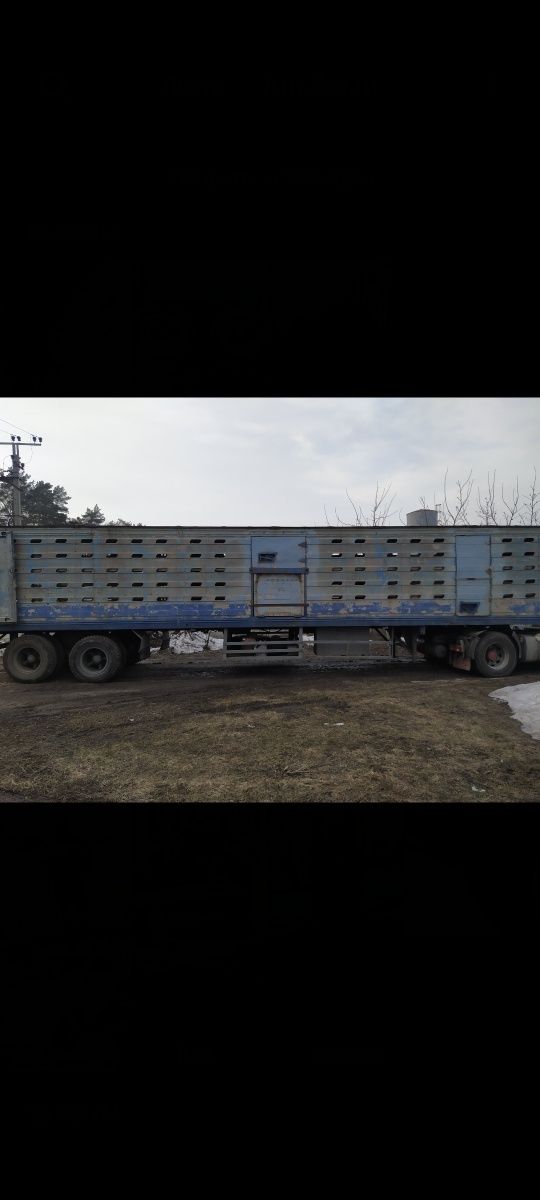 Напівпричіп для перевезення худоби