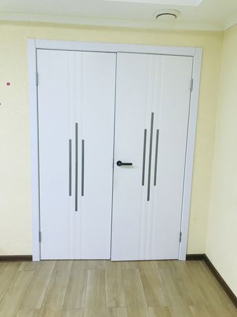 Двері (дверь)