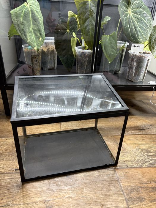 Szklarnia witrzyna miniszklarnia