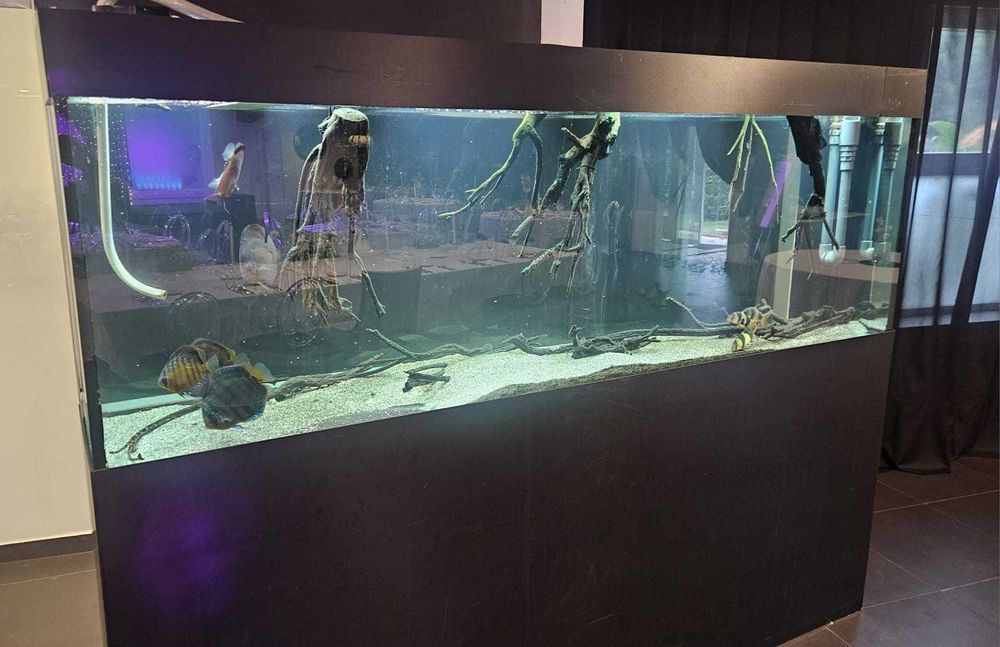 Aquario grande de agua quente/doce