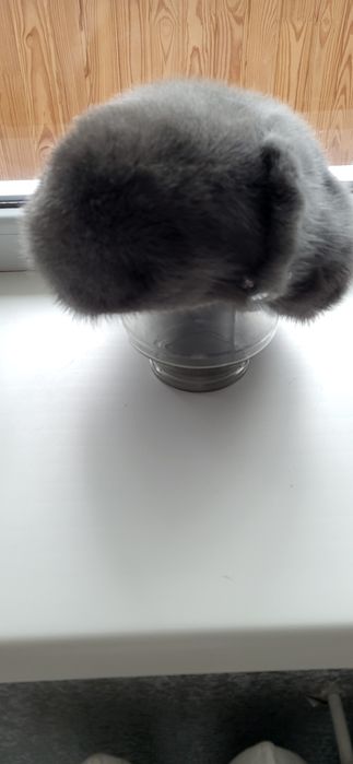 Берет блакитна норка