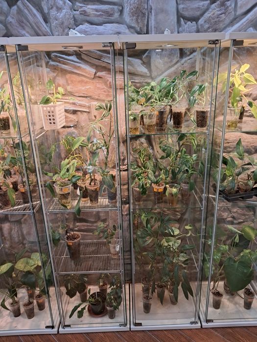 Witryna ,szklana ,ikea ,z oświetleniem