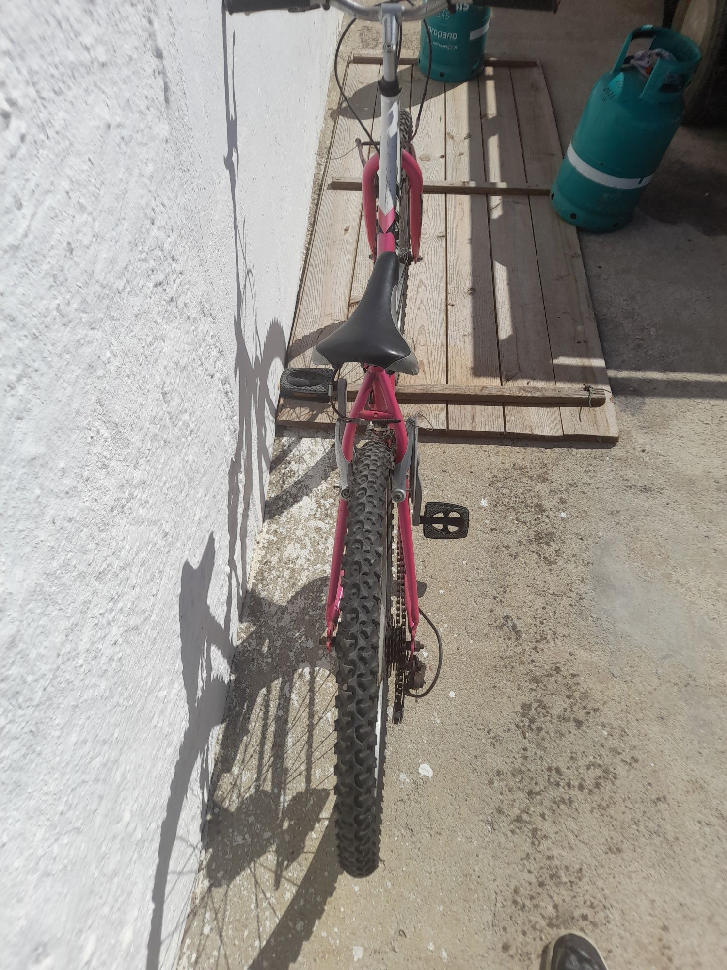 Bicicleta rapariga