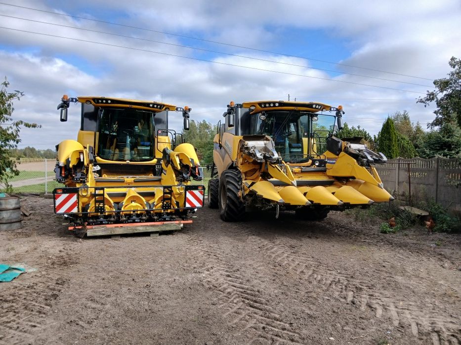 Koszenie zbiór SKUP kukurydzy na ziarno Wywóz gnojowicy obornika siew