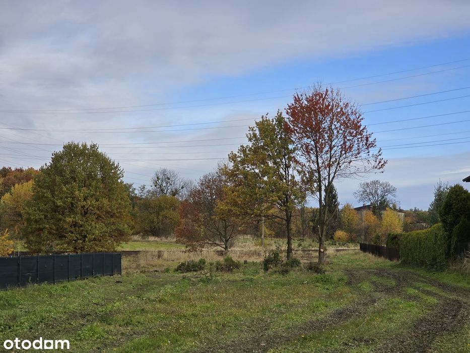 Okazja 120 zł /m2 - działka Orzesze Jaśkowice