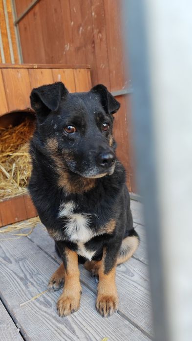 Czyja zguba? Sandomierz