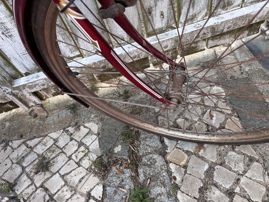 Bicicleta pasteleira Ye-Ye