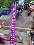 LED roślinny do akwarium.