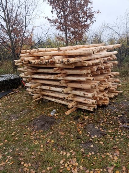Słupk słupki palisada okorowane drewniane stempl