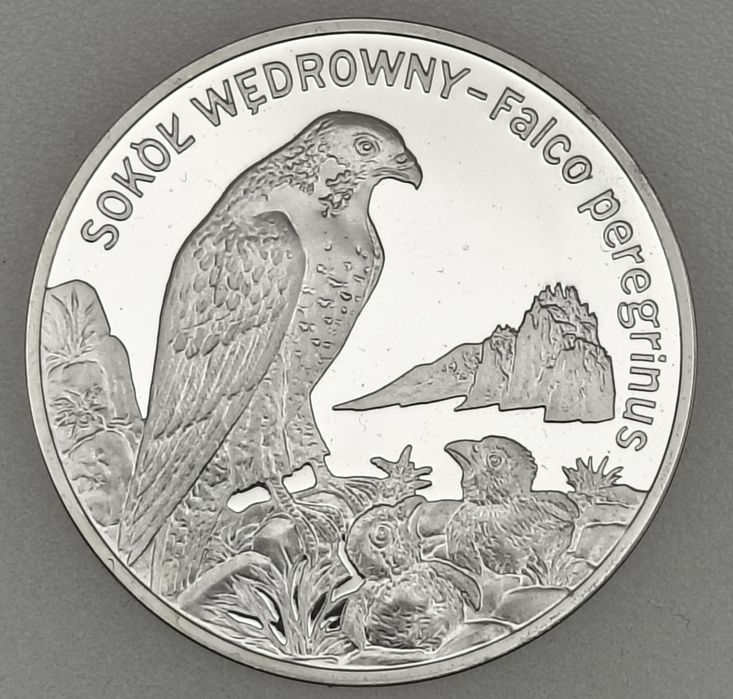 20 zł 2008 rok sokół wędrowny