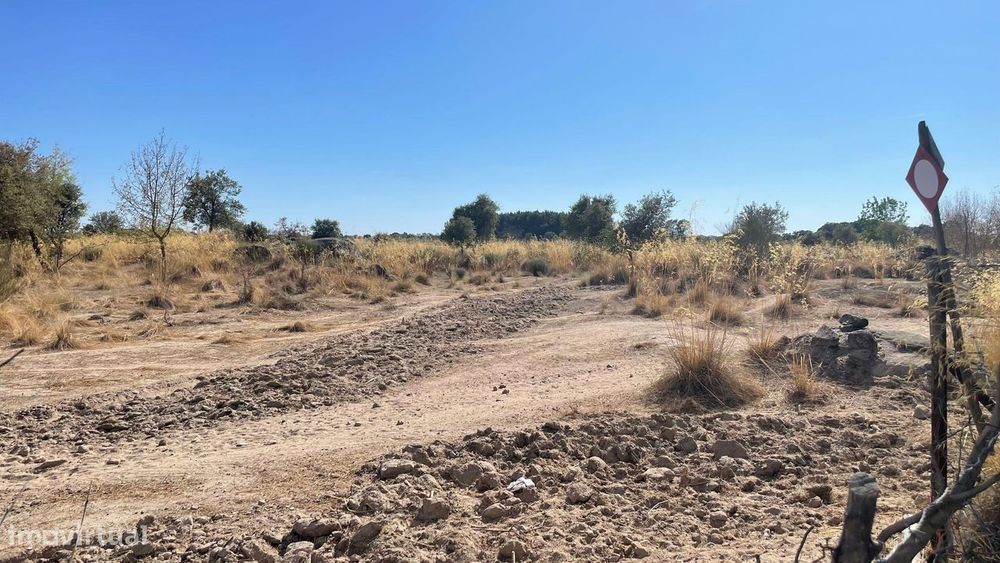 Terreno rústico | Castelo Branco