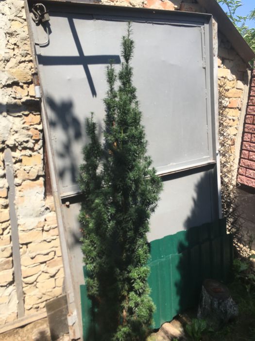 Гаражні ворота у доброму стані