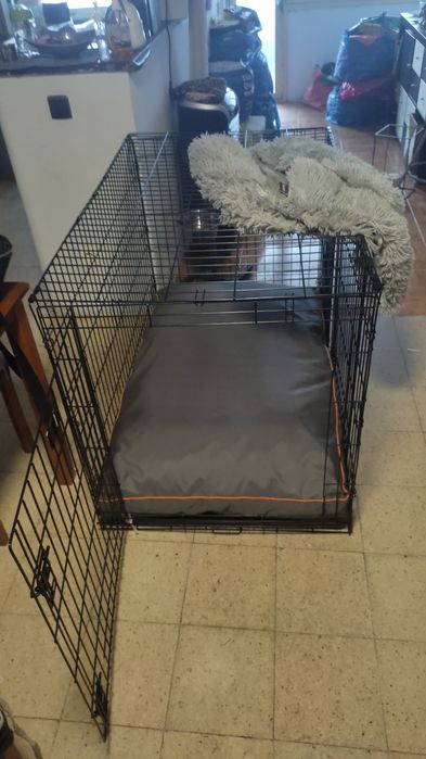 Jaula cão crate XXL