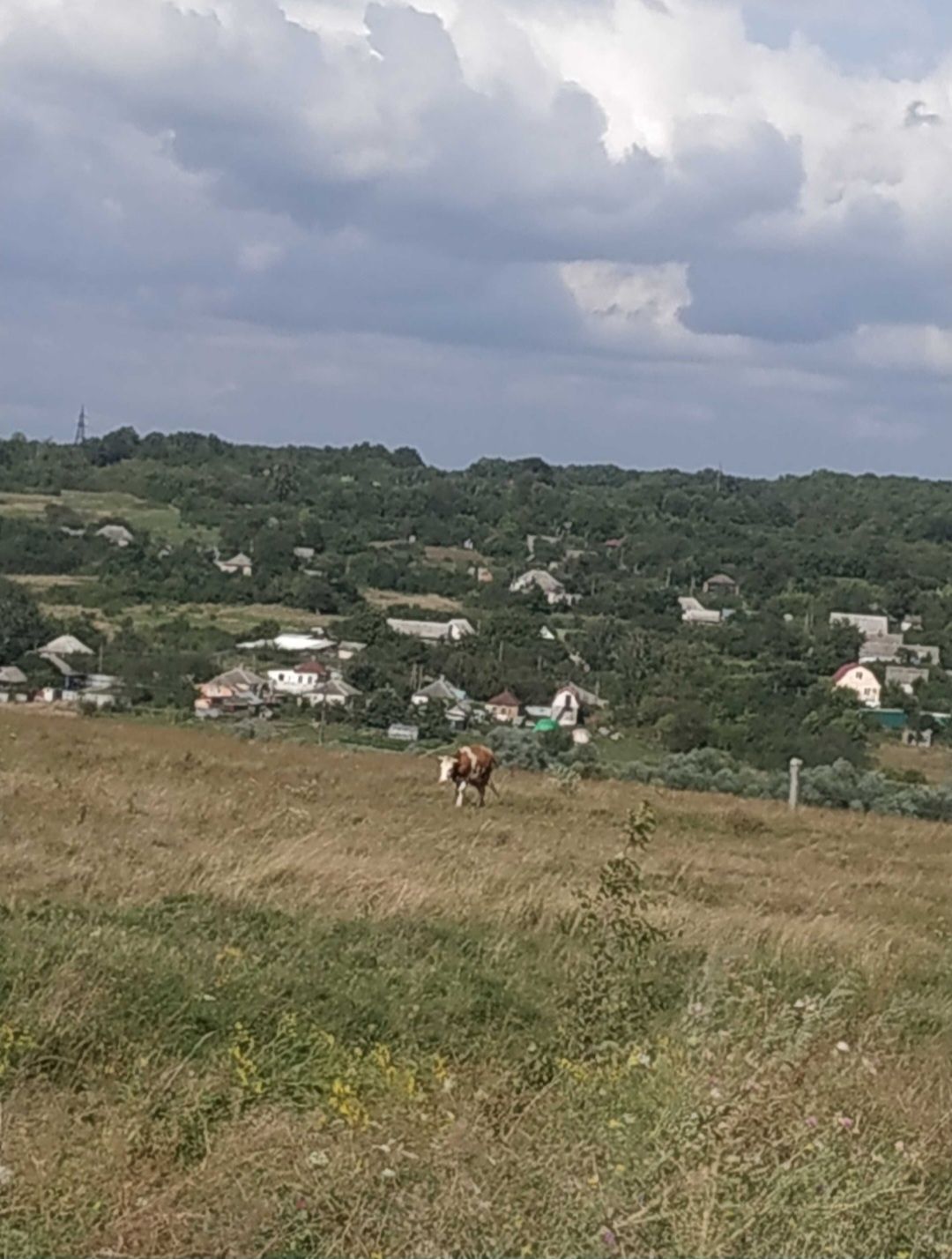 Срочно продам дом в Солоницевке (Куряжанка)