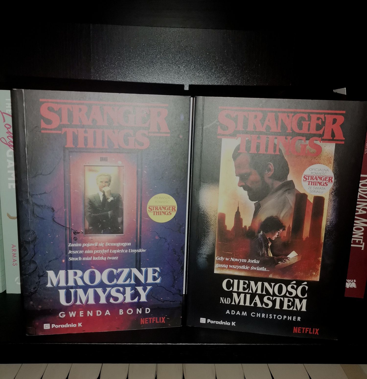 Stranger Things książki