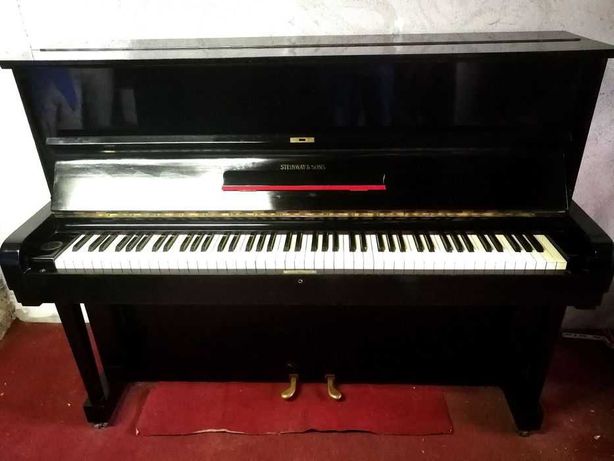 Piano Steinway & Sons muito estimado, afinado e revisto