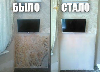 Удаление плесени, грибка. Уничтожение плесени. Обработка от плесени.