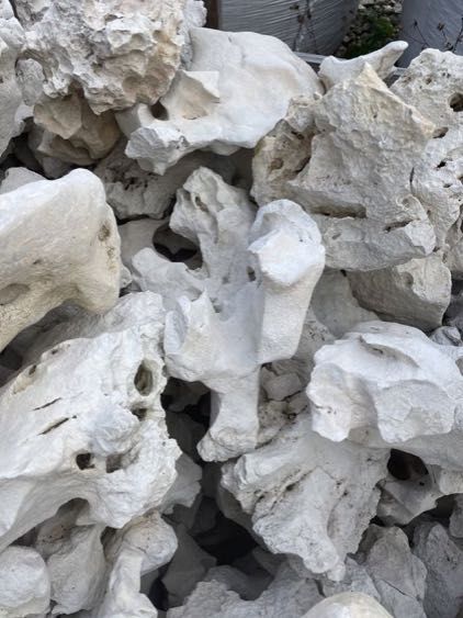 Wapień Filipiński Skałki Minerały do Akwarium Terrarium Dekoracja