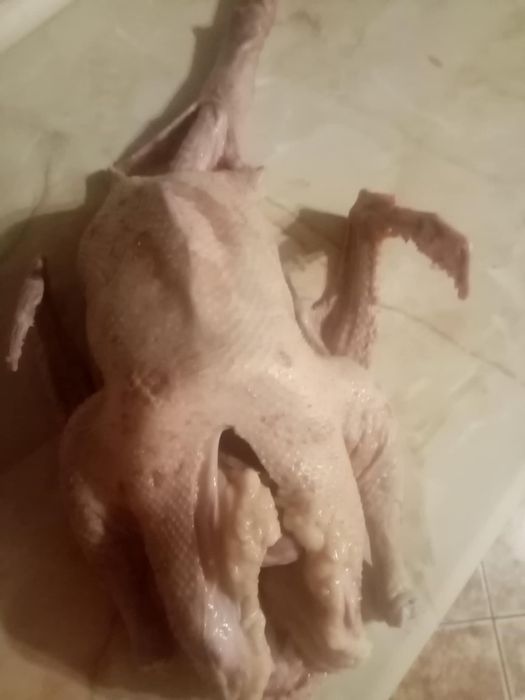 Sprzedam gęsi kaczki indyki