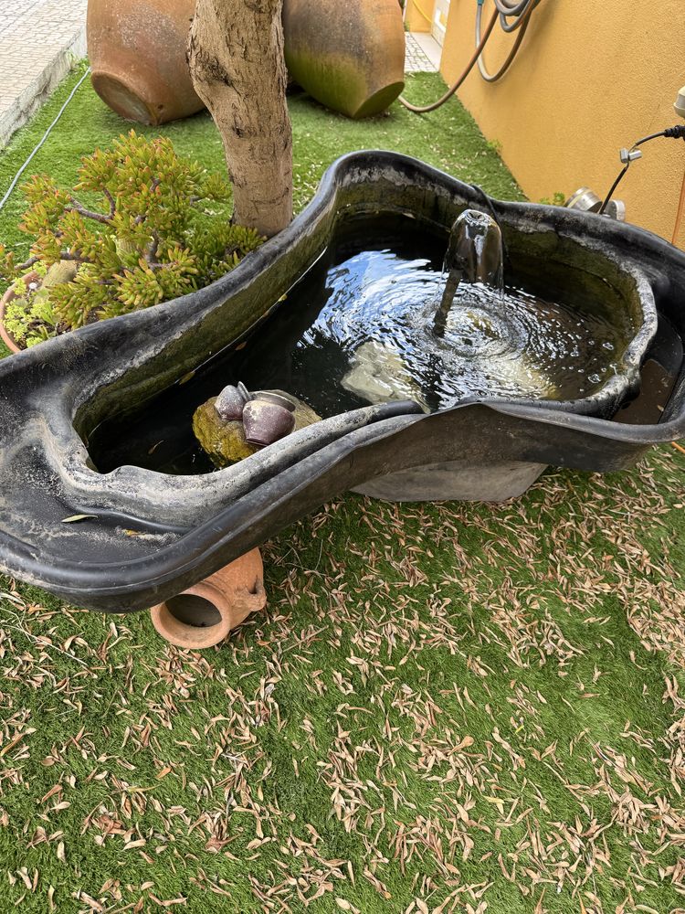 Lago para enterrar com oferta de 2 Carpas e comida