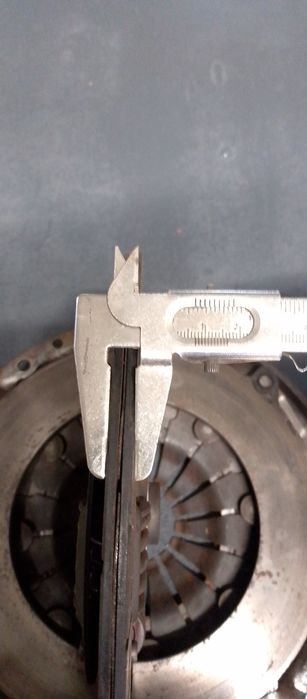 Продам щеплення віваро 1.9