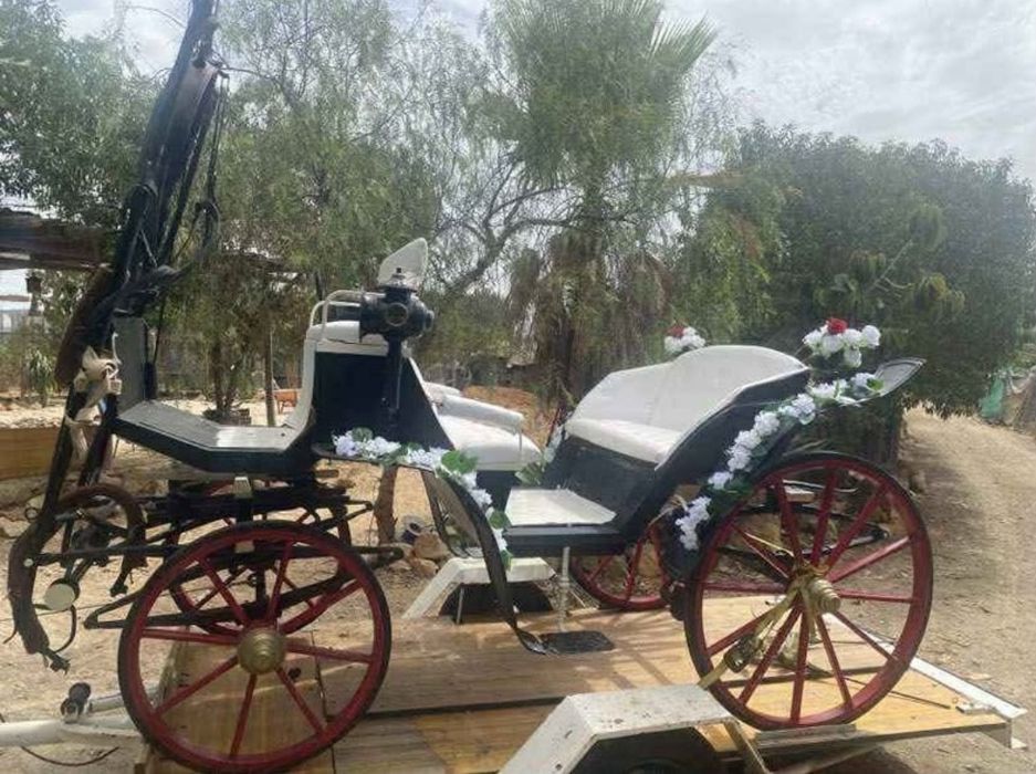 Charrete clássica Milord