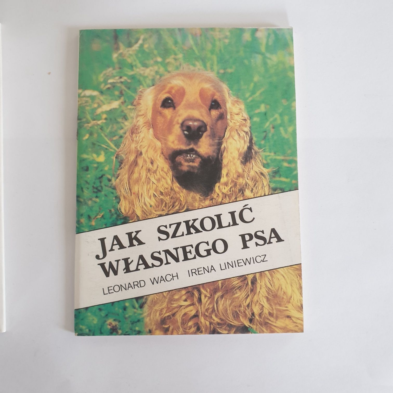 Ksiazka Jak szkolić wlasnego psa tresura psa szkolenie psa