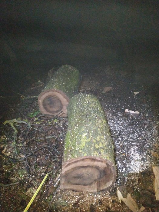 Кругляк горіха діаметр 40 см.