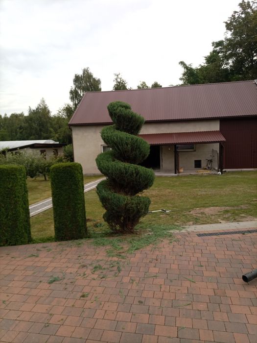 Pielęgnacja ogrodów