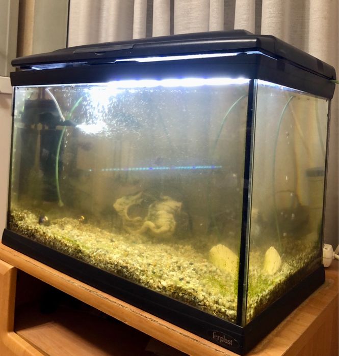 Акваріум Ferplast в нормально стані з фільтром та компресором аквариум