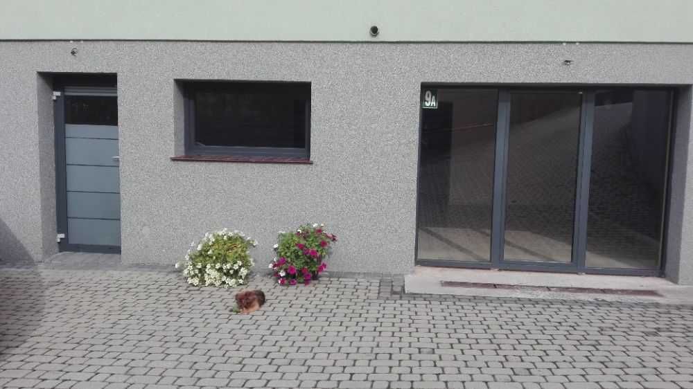 Lokal do wynajęcia, atrakcyjna lokalizacja, 120m²