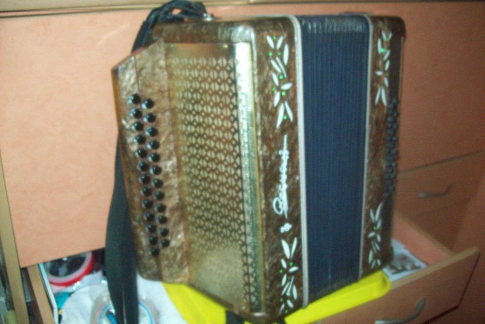 Гармонь ,гармошка,гармоника
