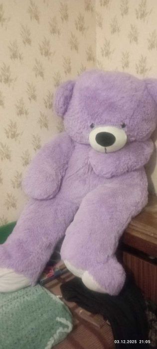 Продам ведмедя Самовивіз