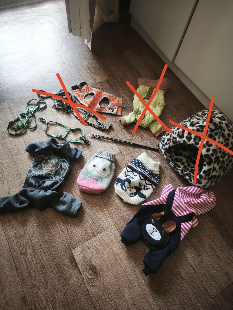Одяг для маленьких собак або котиків, будиночок, шлейка, ошийник