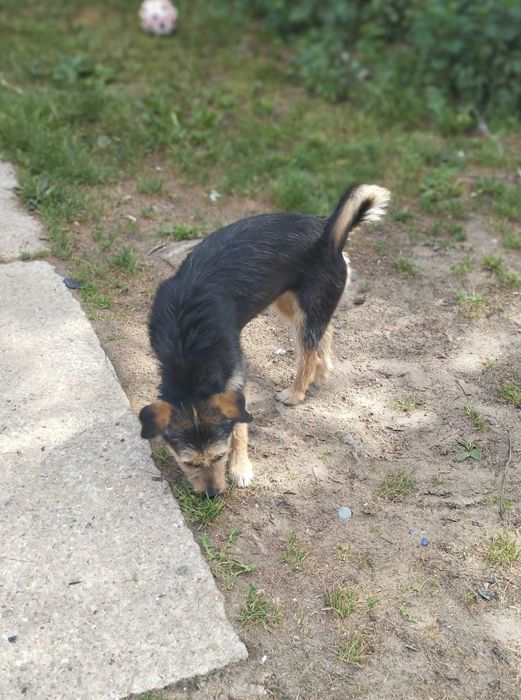 Młodziutka Mela - wulkan energii