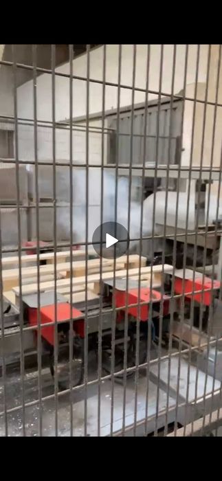 Kompletna linia  Storti do zbijania palet EURO 1200x800