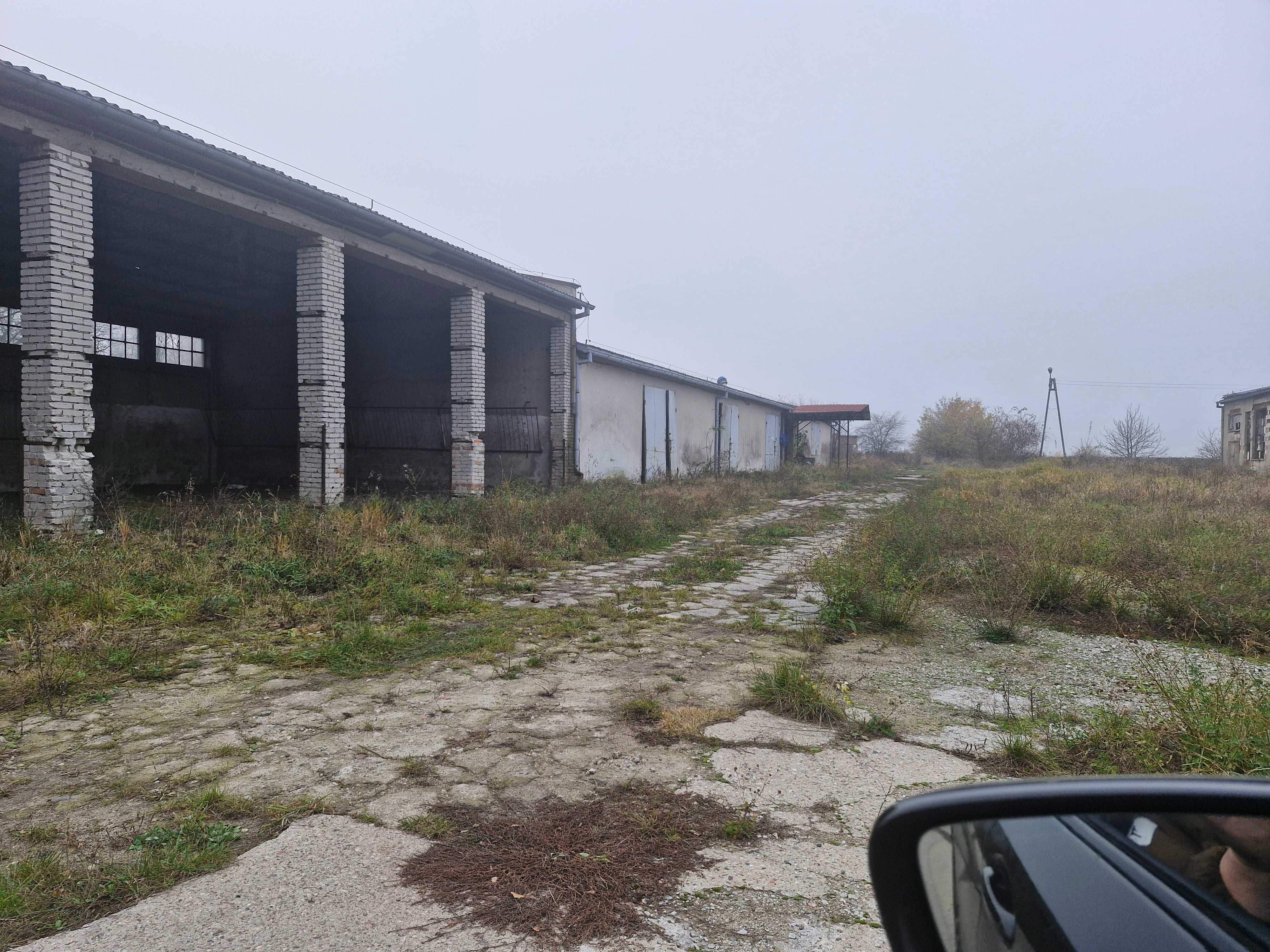 Wynajme plac hale uslugowo handl Olsztynek Sudwa