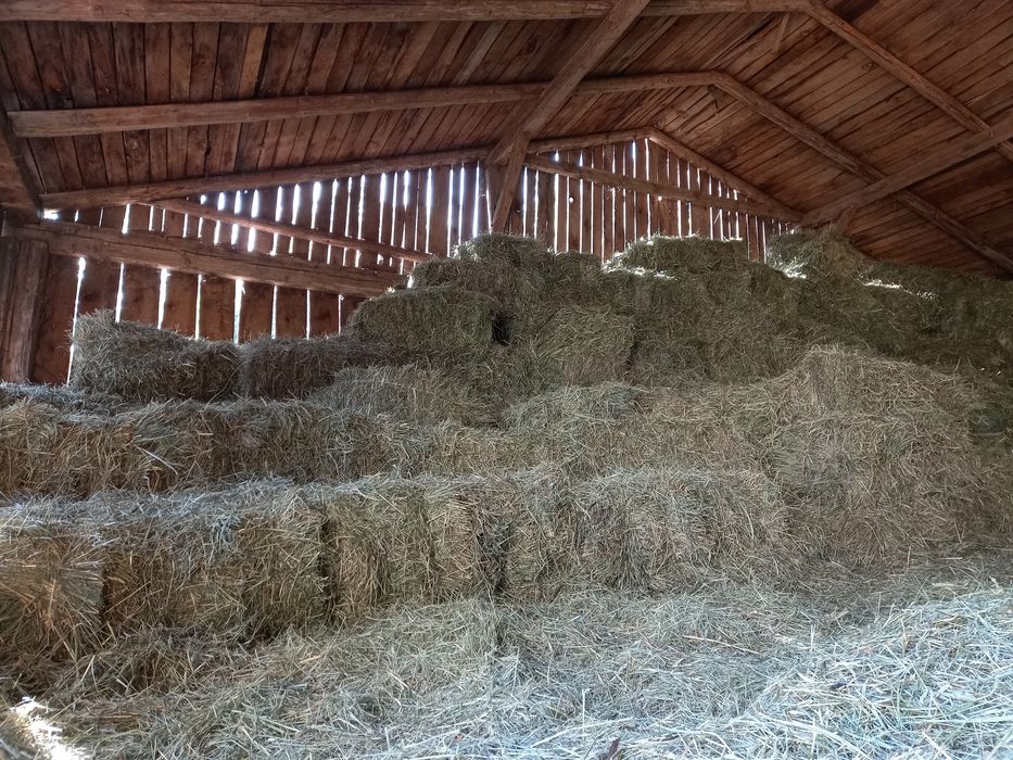 Siano ekologiczne kostka